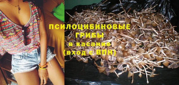 мдпв Касимов