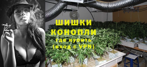 мдпв Касимов