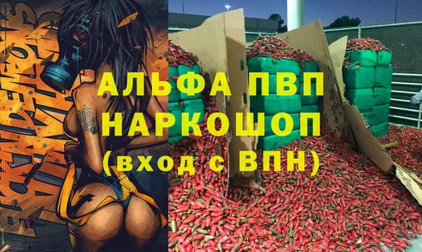 спиды Карталы