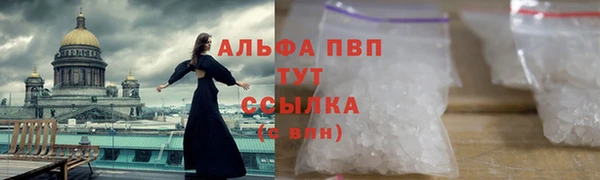 мдпв Касимов