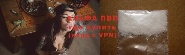 бошки Карпинск