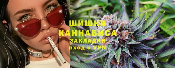 мдпв Касимов
