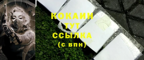 мдпв Касимов