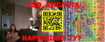 ГАЛЛЮЦИНОГЕННЫЕ ГРИБЫ Славгород