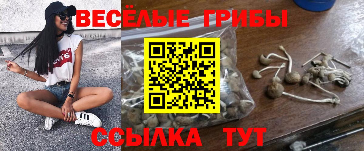 Галлюциногенные грибы мухоморы  Вход с VPN  Янаул  Псилоцибиновые грибы Psilocybine cubensis 